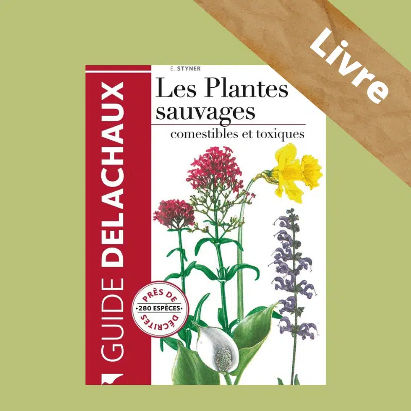Les Plantes sauvages, comestibles et toxiques – Guide DELACHAUX – Image 8