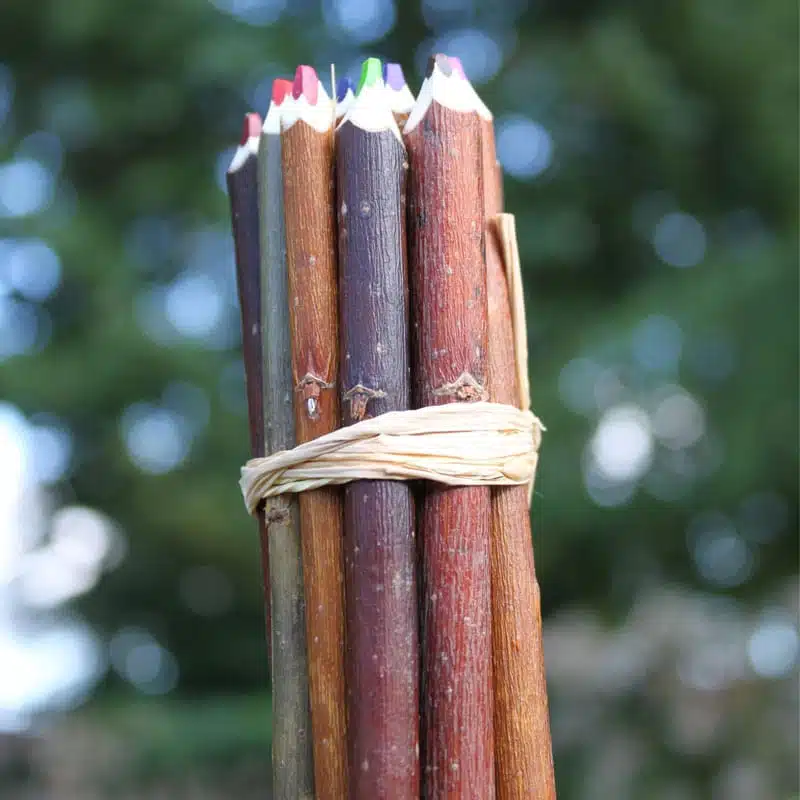 Fagot de 5 crayons de couleurs naturels en branche d’osier – Image 7