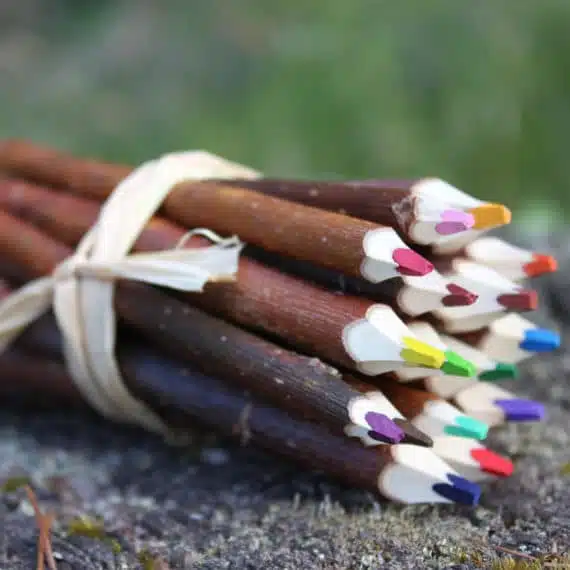 Fagot de 5 crayons de couleurs naturels en branche d’osier – Image 3