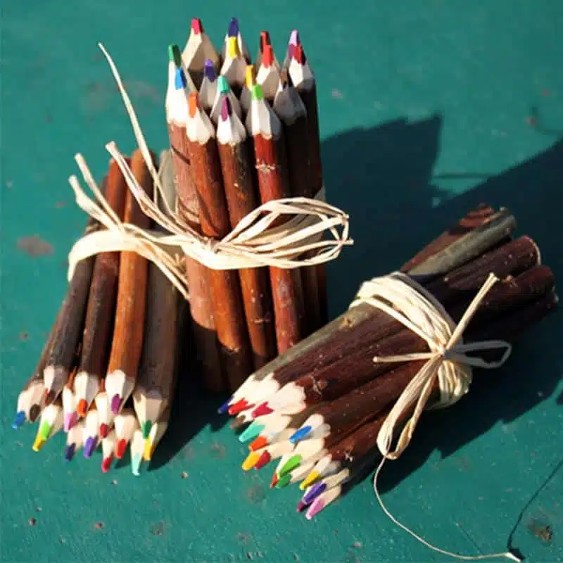 Fagot de 5 crayons de couleurs naturels en branche d’osier – Image 4