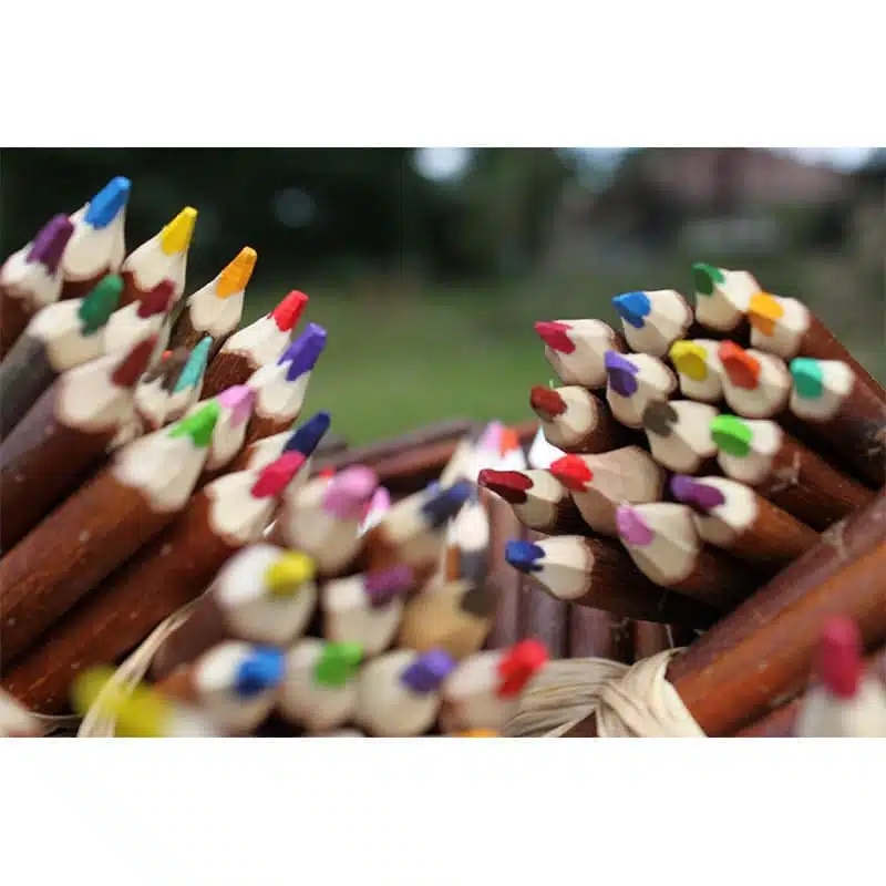 Fagot de 5 crayons de couleurs naturels en branche d’osier – Image 5