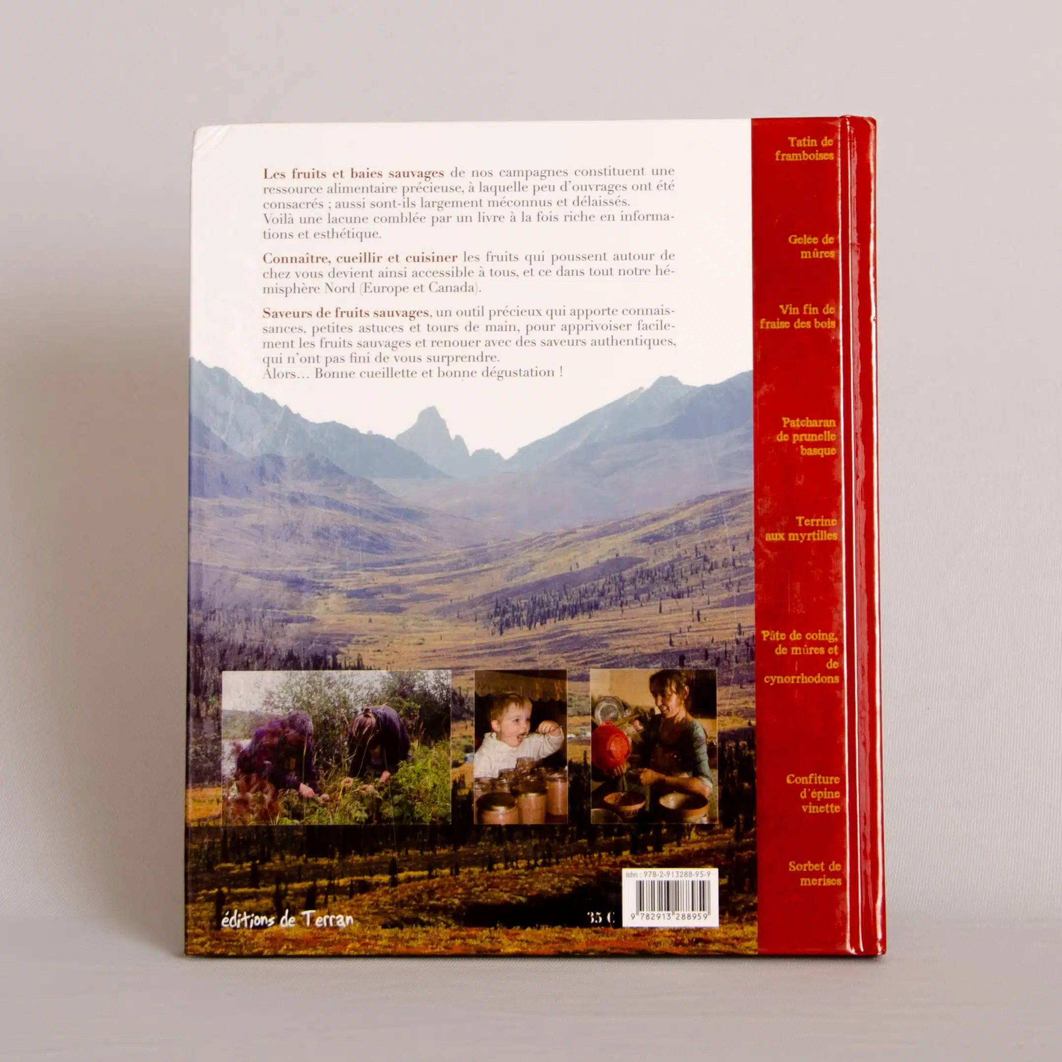 Saveurs de fruits sauvages – Livre – Annie-Jeanne et Bernard Bertrand – Image 3