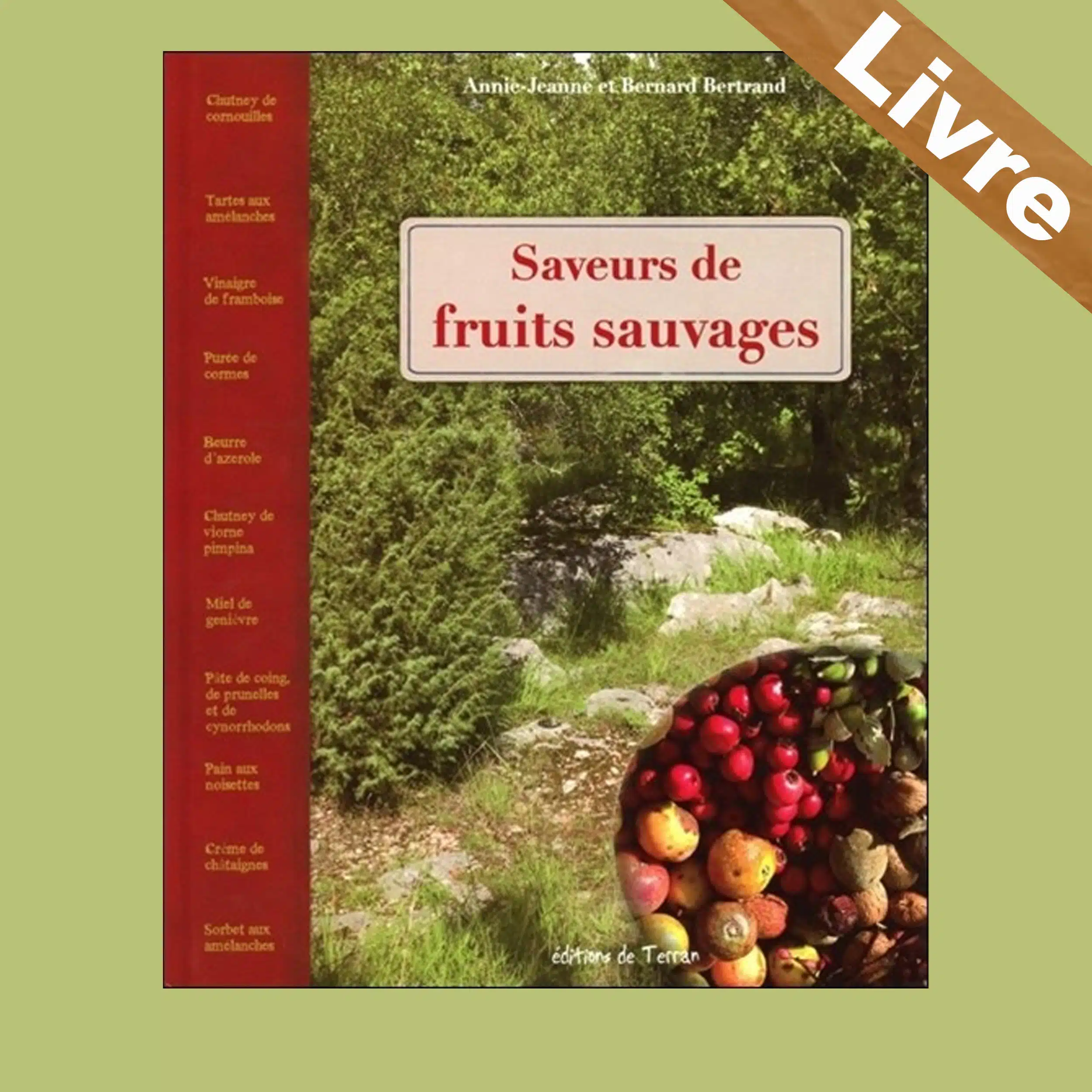 Saveurs de fruits sauvages – Livre – Annie-Jeanne et Bernard Bertrand